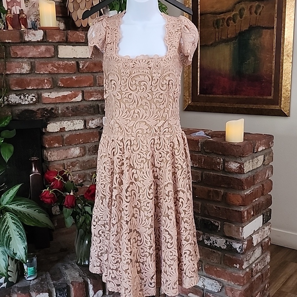 Marc Bouwer Embroidered Lace Blush Pink Midi Dress Fairycore Romantic Size L